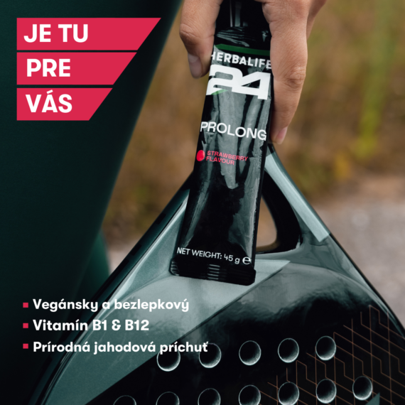 H24 PROLONG ENERGY GEL - jahoda, vrecká 10 x 45 g   NOVINKA