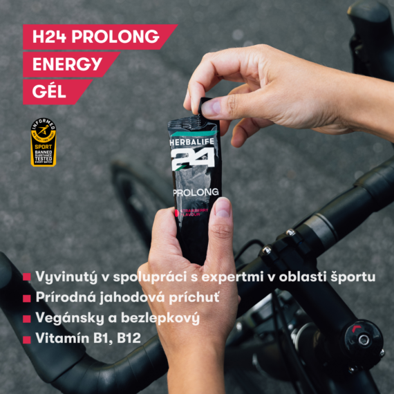 H24 PROLONG ENERGY GEL - jahoda, vrecká 10 x 45 g   NOVINKA