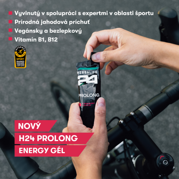 H24 PROLONG ENERGY GEL - jahoda, vrecká 10 x 45 g   NOVINKA